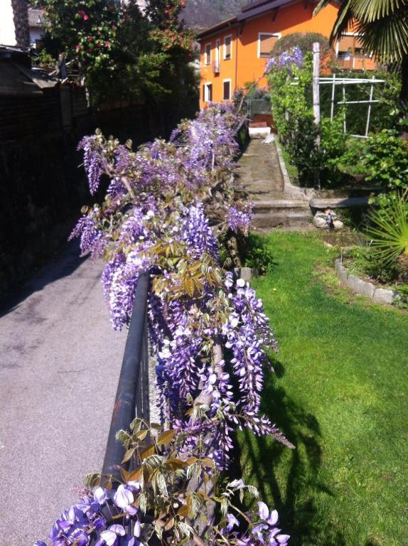 B&B Villa Dei Pini กันโนบีโอ ภายนอก รูปภาพ