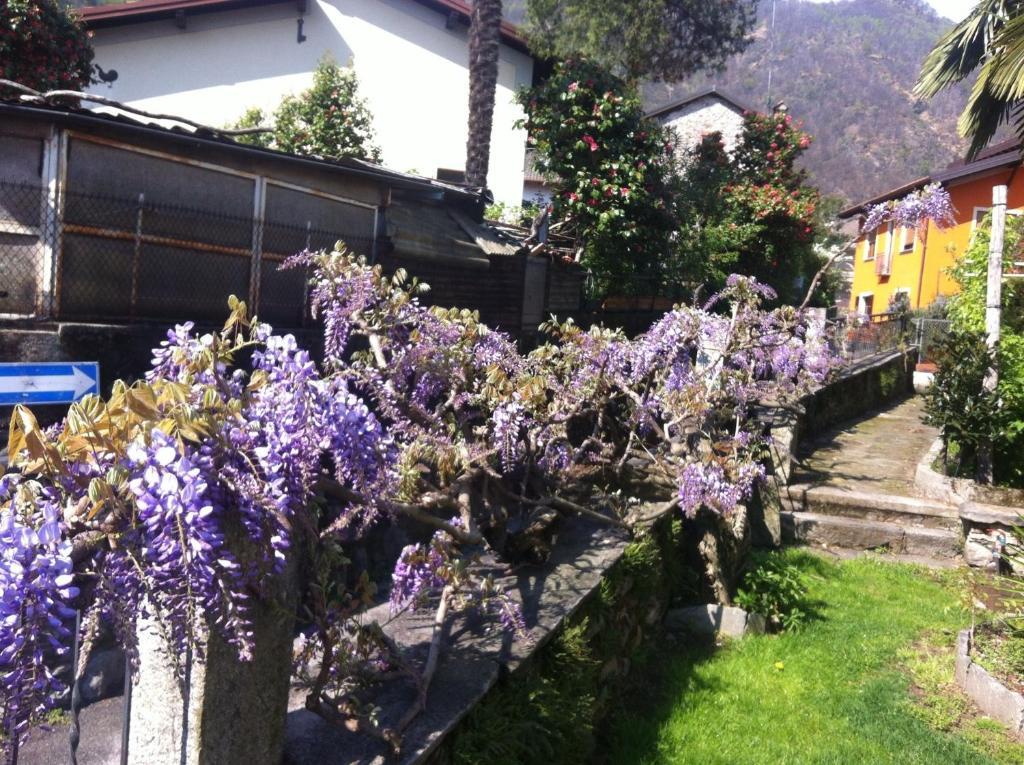 B&B Villa Dei Pini กันโนบีโอ ภายนอก รูปภาพ