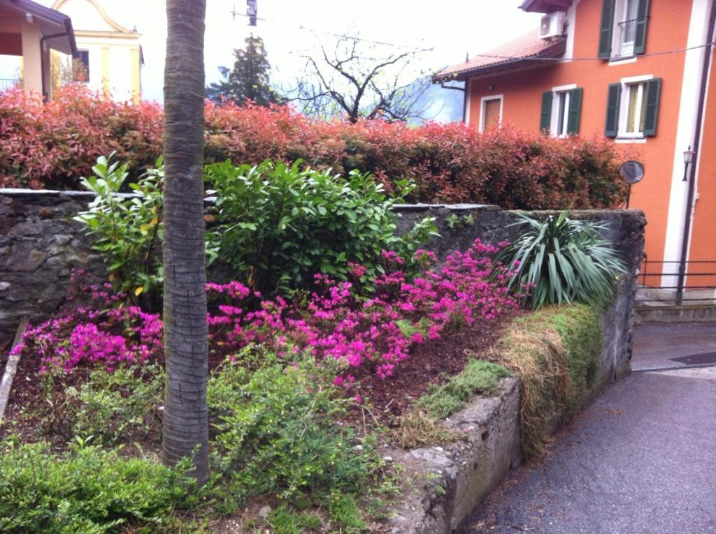 B&B Villa Dei Pini กันโนบีโอ ภายนอก รูปภาพ