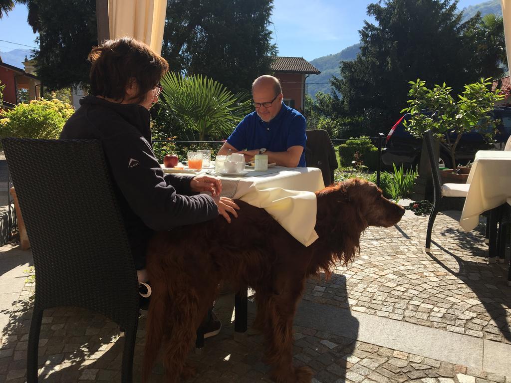 B&B Villa Dei Pini กันโนบีโอ ภายนอก รูปภาพ