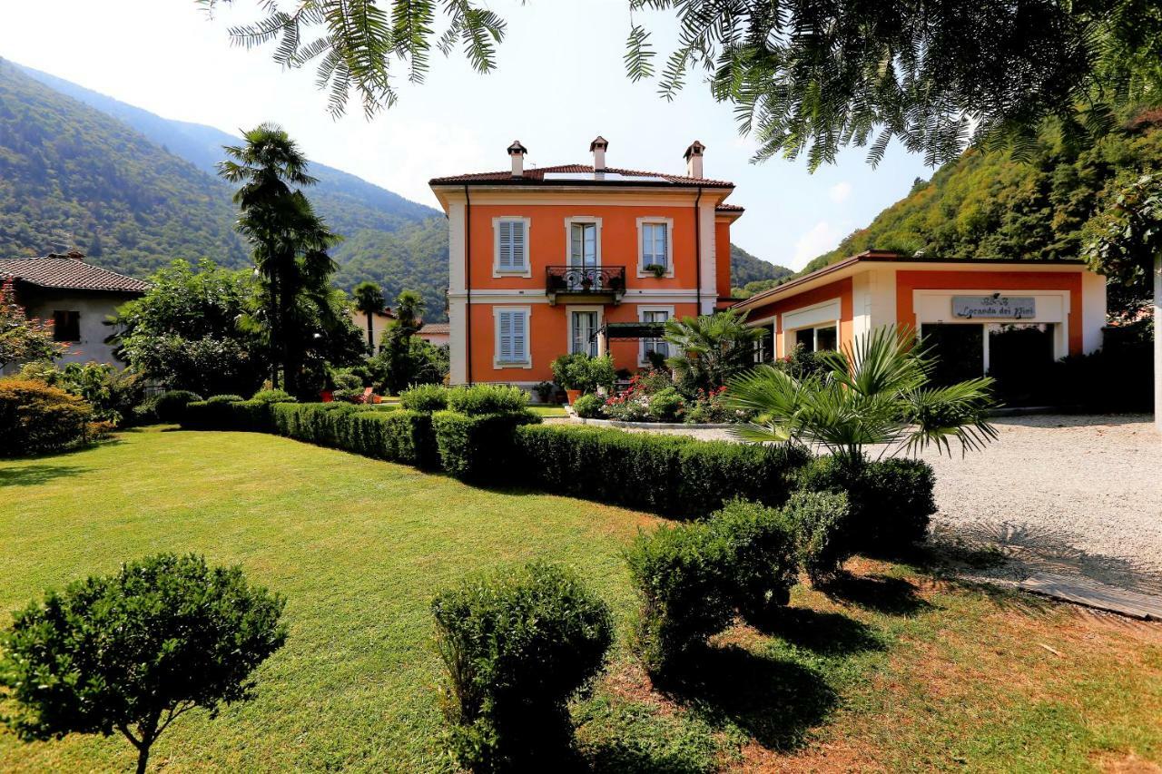 B&B Villa Dei Pini กันโนบีโอ ภายนอก รูปภาพ